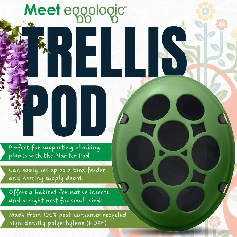 eggologic Trellis Pod - Вертикална градинска саксия за увивни растения — снимка 2
