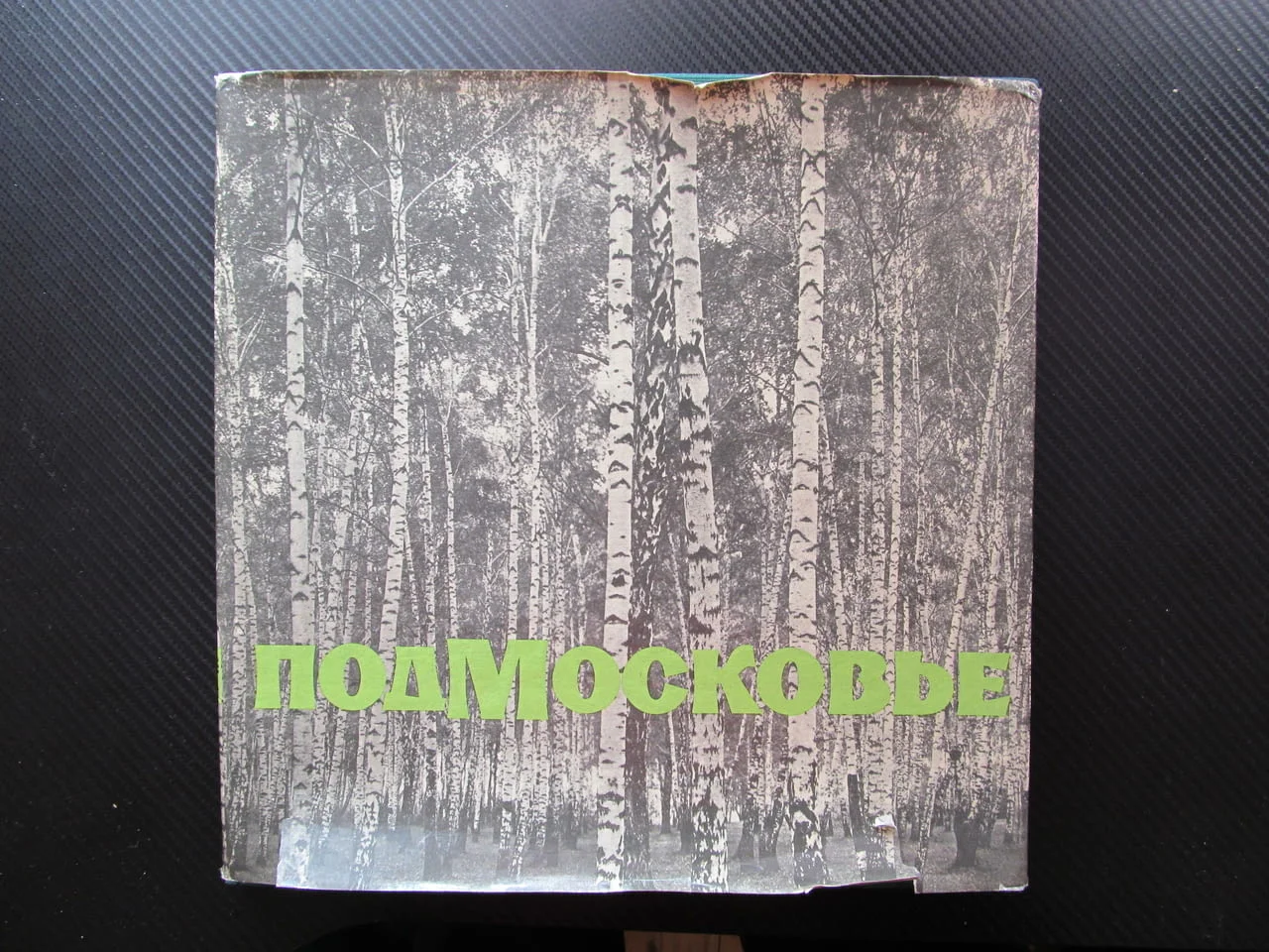 Подмосковье Фотоальбом И. Липовецкая фотоалбум индустрия култура природа снимки Русия Руско ежеднев