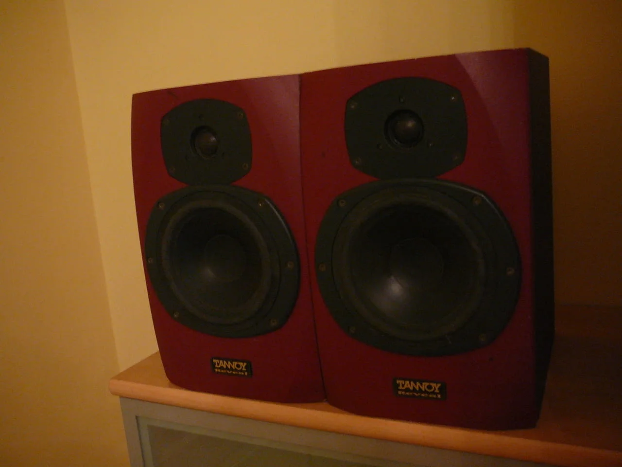 Tannoy reveal monitorni — снимка 5