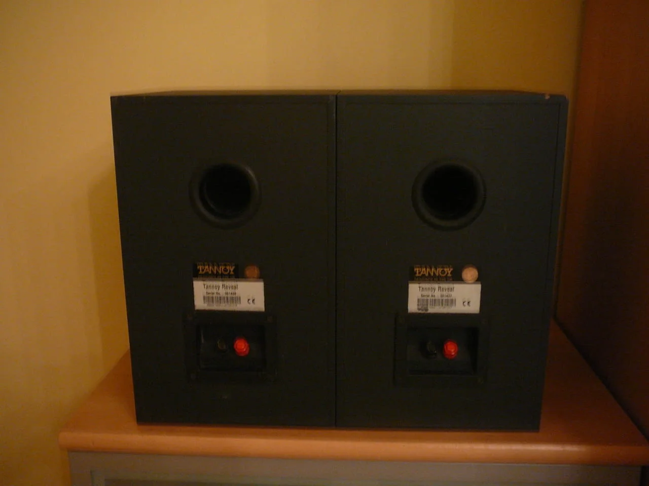 Tannoy reveal monitorni — снимка 6