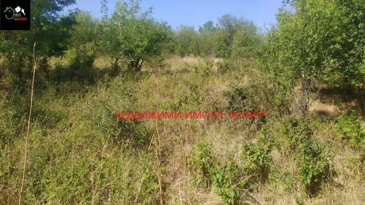 Парцел в регулация в село Родина — снимка 2