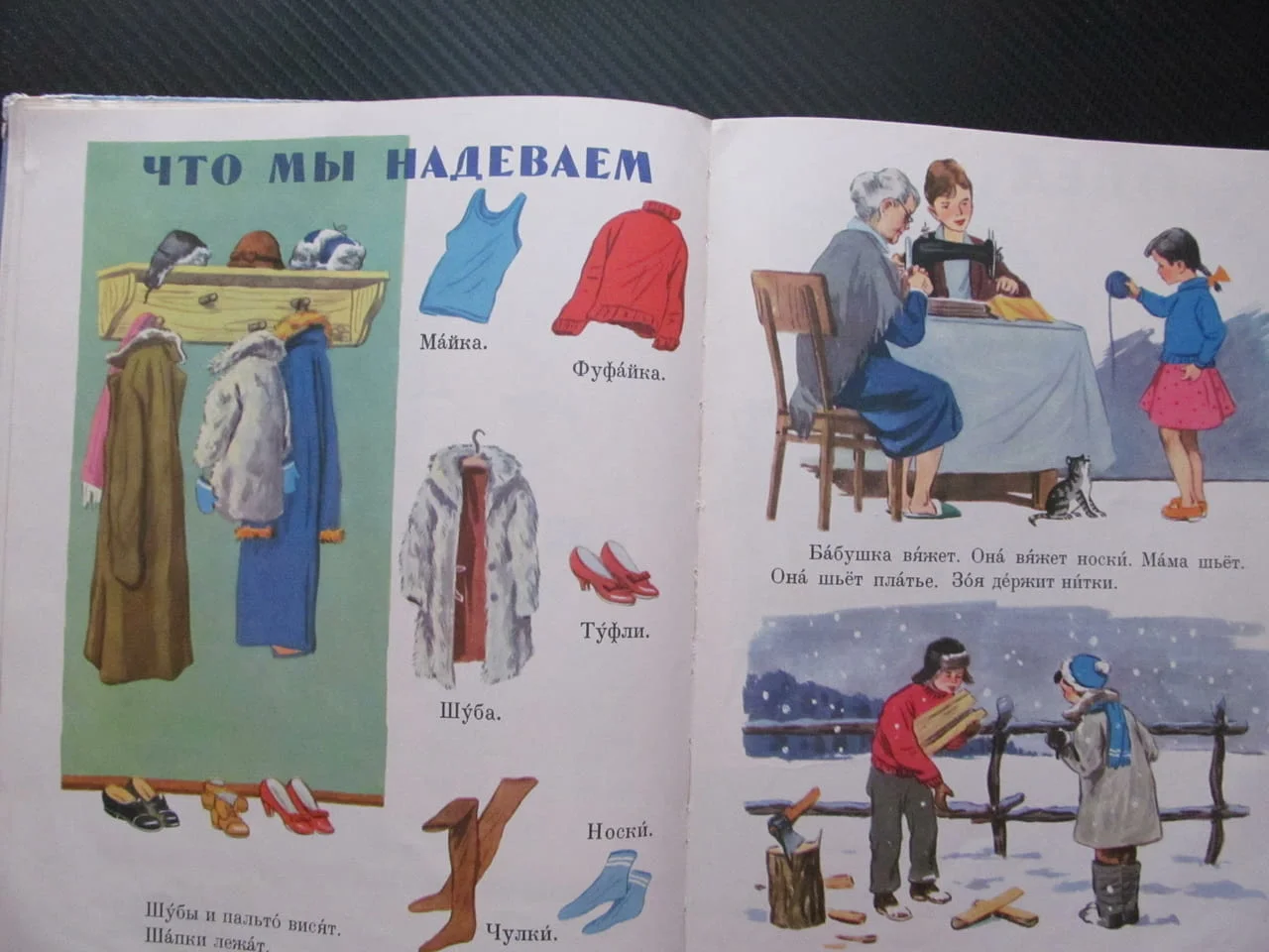 Русский язык в картинках Руски език в картинки семейство животни говорене четене писане дрехи градин — снимка 3