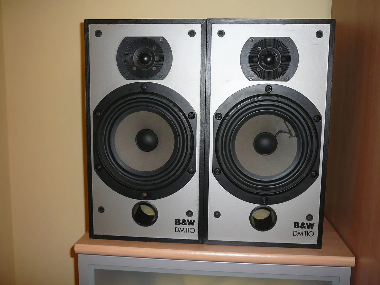 B&w dm 110 — снимка 2