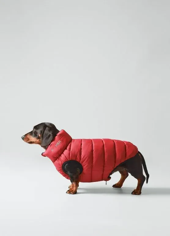 HUGO & HUDSON x HACKETT Топло зимно палто за кучета, двулицево Navy & Berry, S 30 — снимка 2