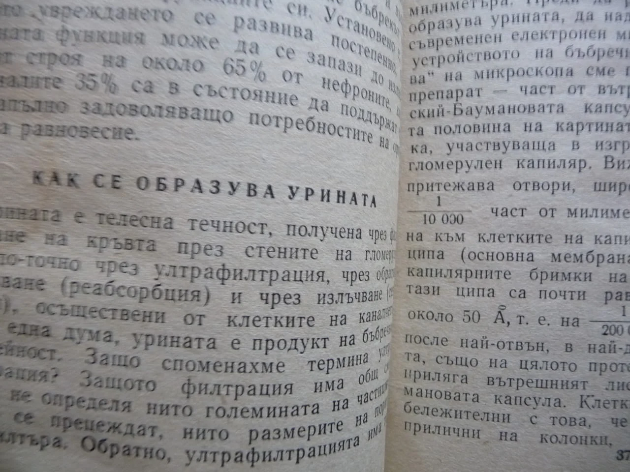 Какво трябва да знаем за бъбреците Никола Шумаров Поредица Здраве урина микроби алкохол тютюн кафе — снимка 3