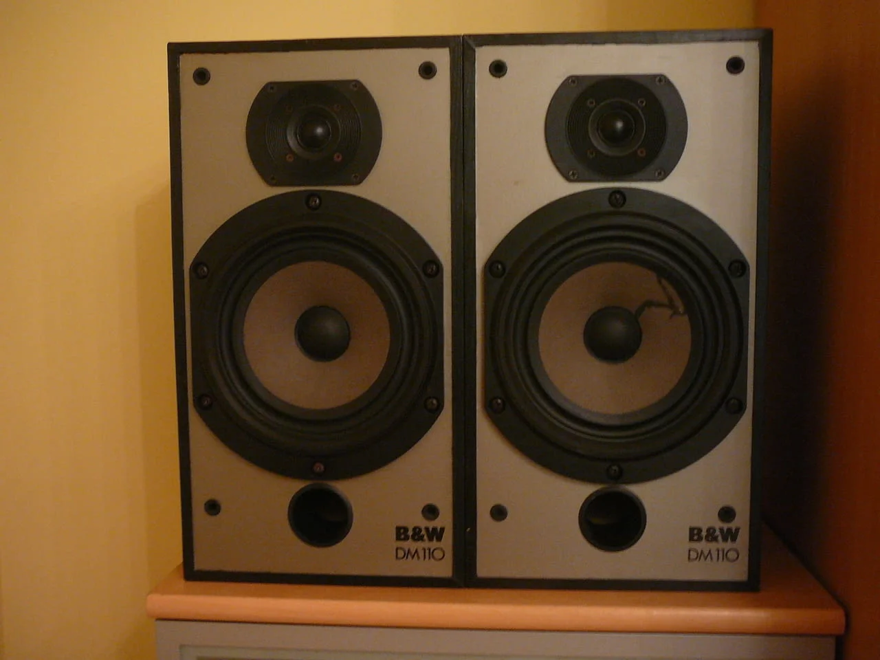 B&w dm 110