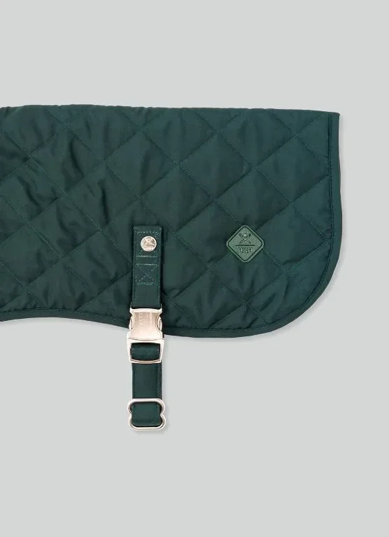 HUGO & HUDSON x HACKETT Капитонирано яке за кучета, зимно палто с кадифена яка, горско зелено M 40 — снимка 5