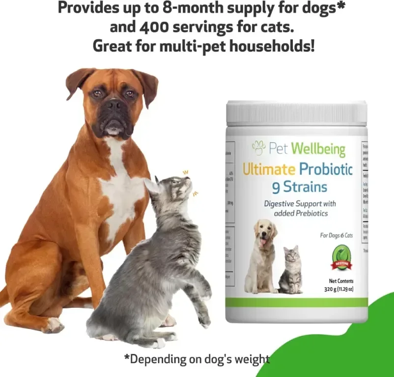 Pet Wellbeing Ultimate Probiotic 9 щама за кучета и котки - Здравословно храносмилане, 320 гр, прах — снимка 5