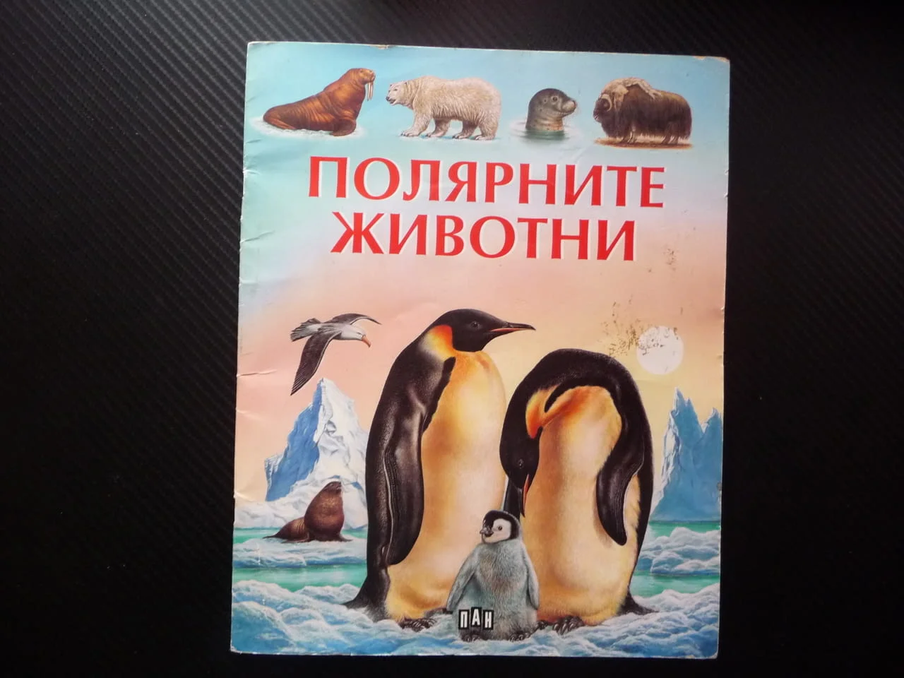 Полярните животни детска красиви рисунки бяла мечка пингвини морски лъв овцебик морж тюлени сова пан