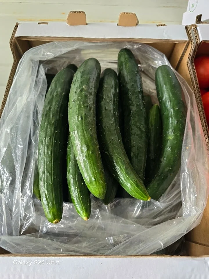 Чували за краставици — снимка 3