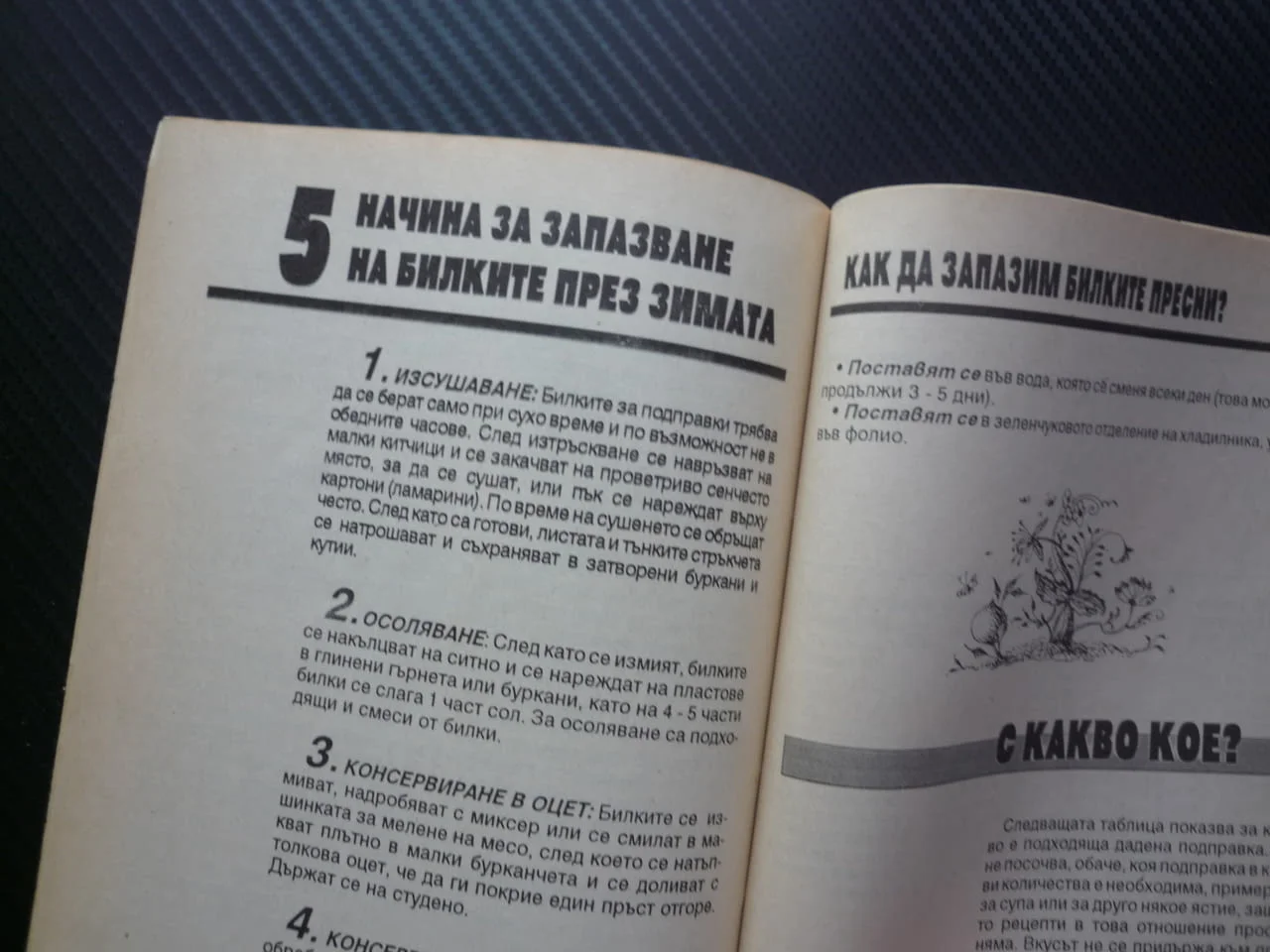 На всяка манджа мерудия сол пиппер рецепти билки подправки шафран чубрица анасон пащърнак магданоз — снимка 3