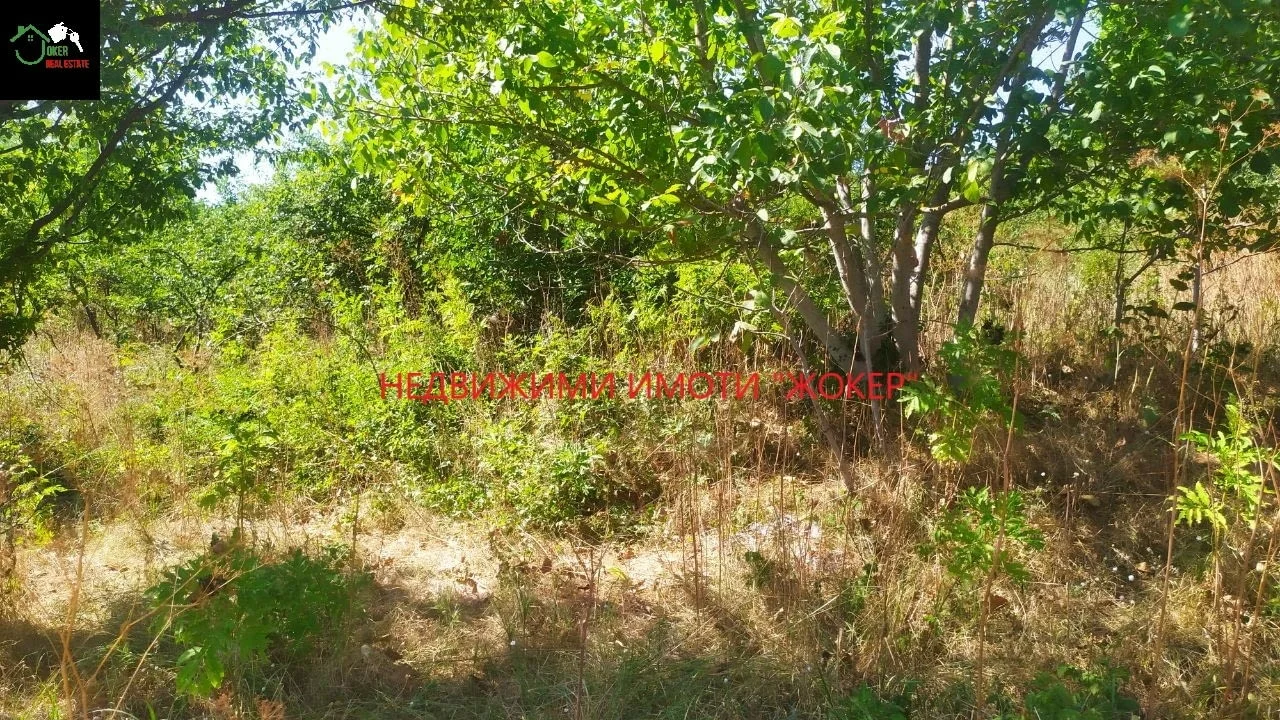 Парцел в регулация в село Родина — снимка 4