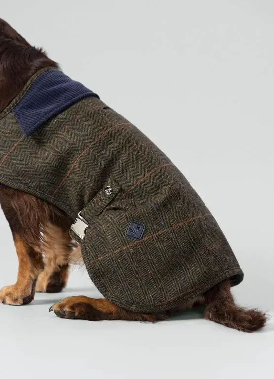 HUGO & HUDSON x HACKETT Палто за кучета, кадифена яка, тъмнозелено карирано рибена кост M45 — снимка 9