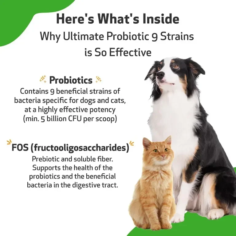 Pet Wellbeing Ultimate Probiotic 9 щама за кучета и котки - Здравословно храносмилане, 320 гр, прах — снимка 4