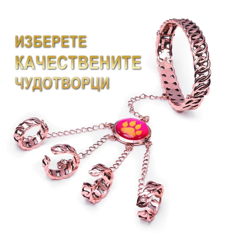 Чудотворци от филмчето Калинката и Черния котарак
