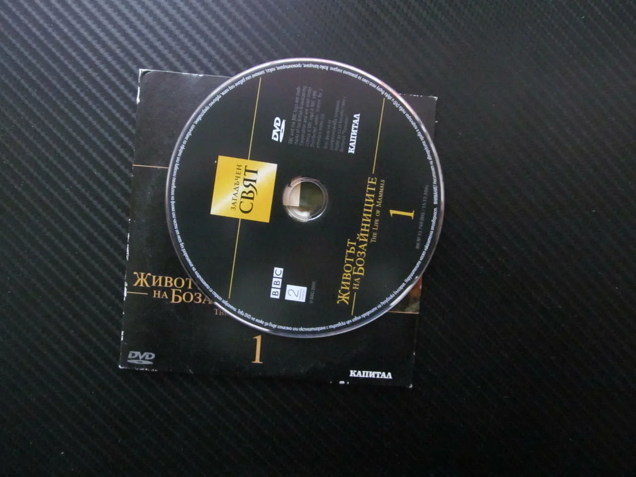 Животът на бозайниците 1 DVD филм сполучлив дизайн ловци на насекоми Загадъчен свят торбести BBC нау — снимка 2