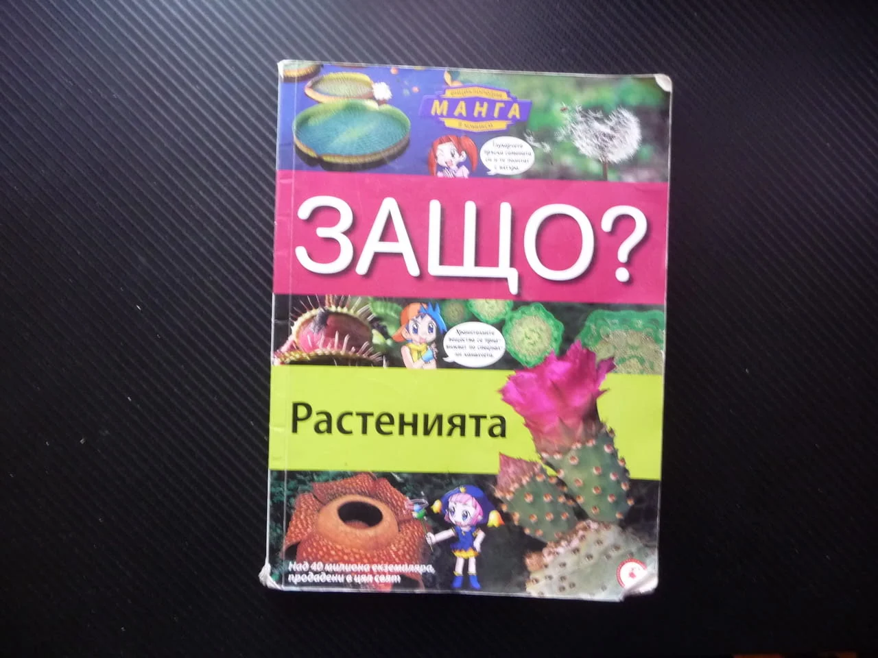 Защо? Растенията комикс забавно запознаване децата със света дървета храсти цветя водорасли билки фл