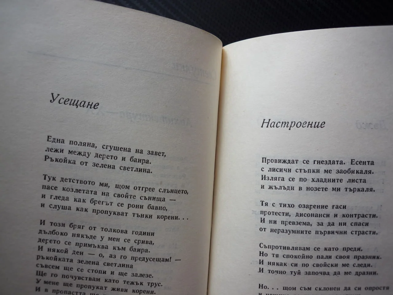 На глас и на ум Първан Стефанов стихотворения поеми пътуване към усмивката светулки кошница с петле — снимка 2