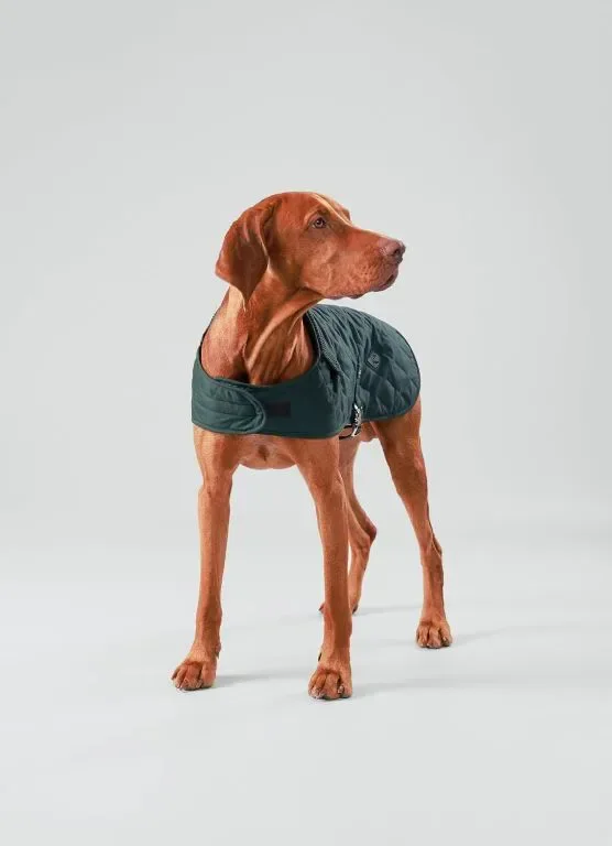 HUGO & HUDSON x HACKETT Капитонирано яке за кучета, зимно палто с кадифена яка, горско зелено M 40 — снимка 3