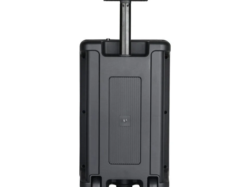 Активна тонколона Rancore RS111XR — снимка 3