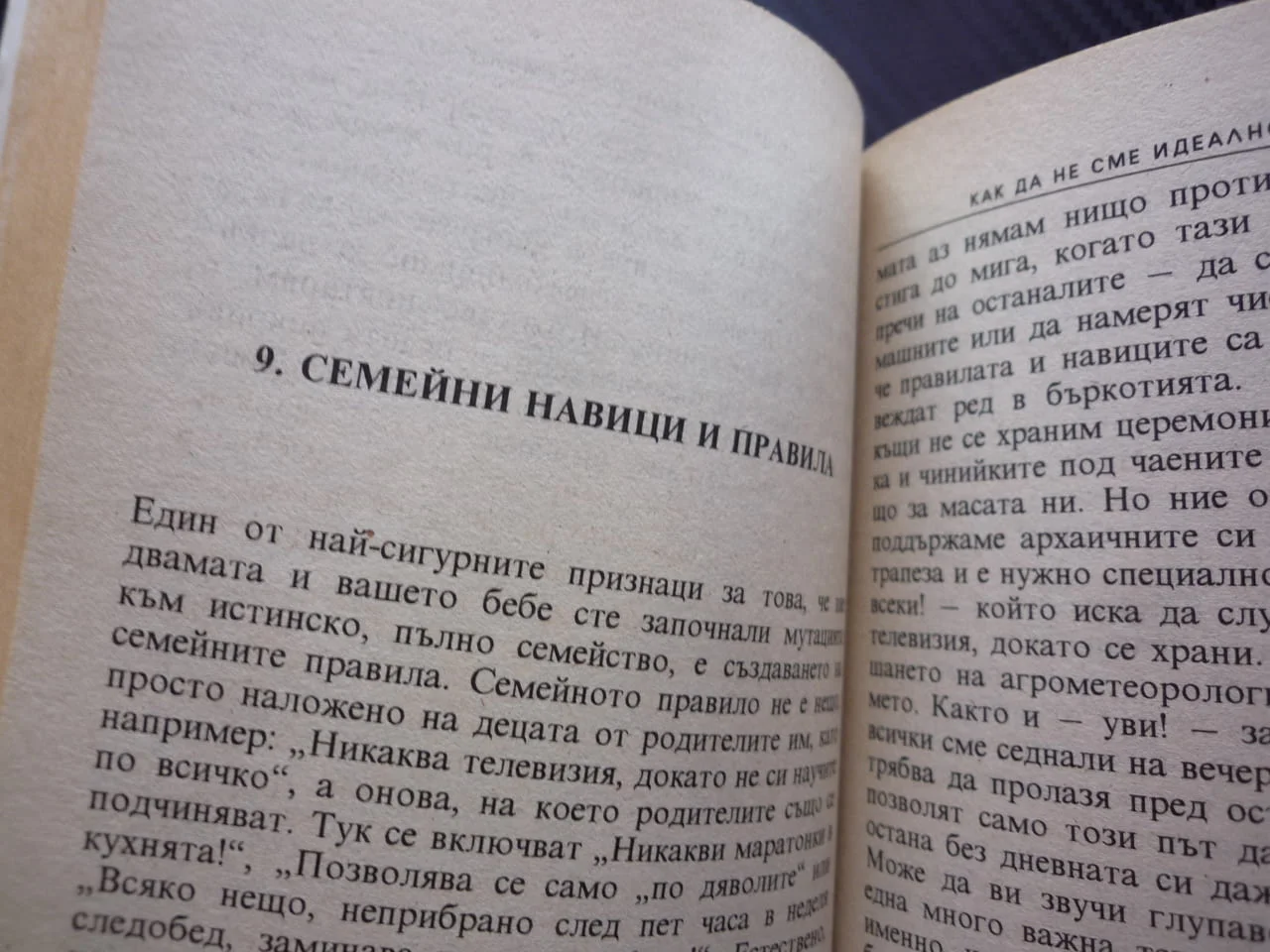 Как да не сме идеалното семейство Либи Първис семейни навици правила децата братя сестри баща майка — снимка 2