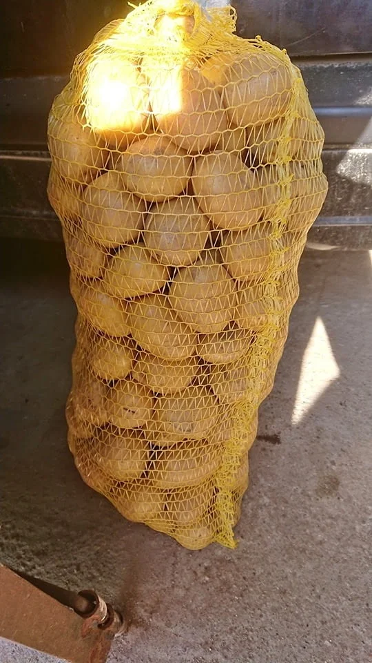 Гаци за картофи