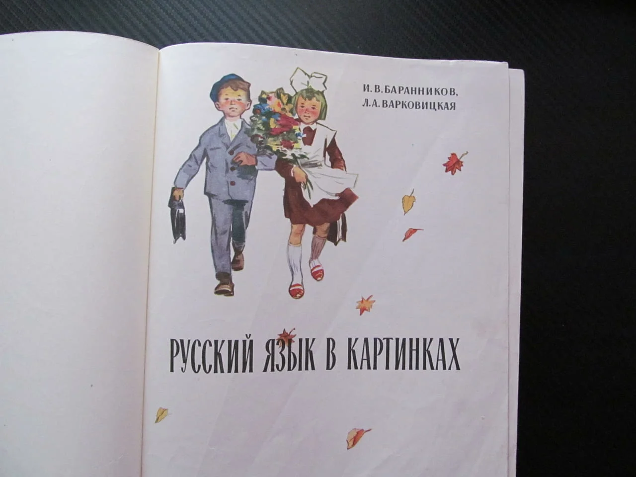 Русский язык в картинках Руски език в картинки семейство животни говорене четене писане дрехи градин — снимка 2