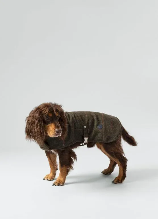 HUGO & HUDSON x HACKETT Палто за кучета, кадифена яка, тъмнозелено карирано рибена кост M45 — снимка 3
