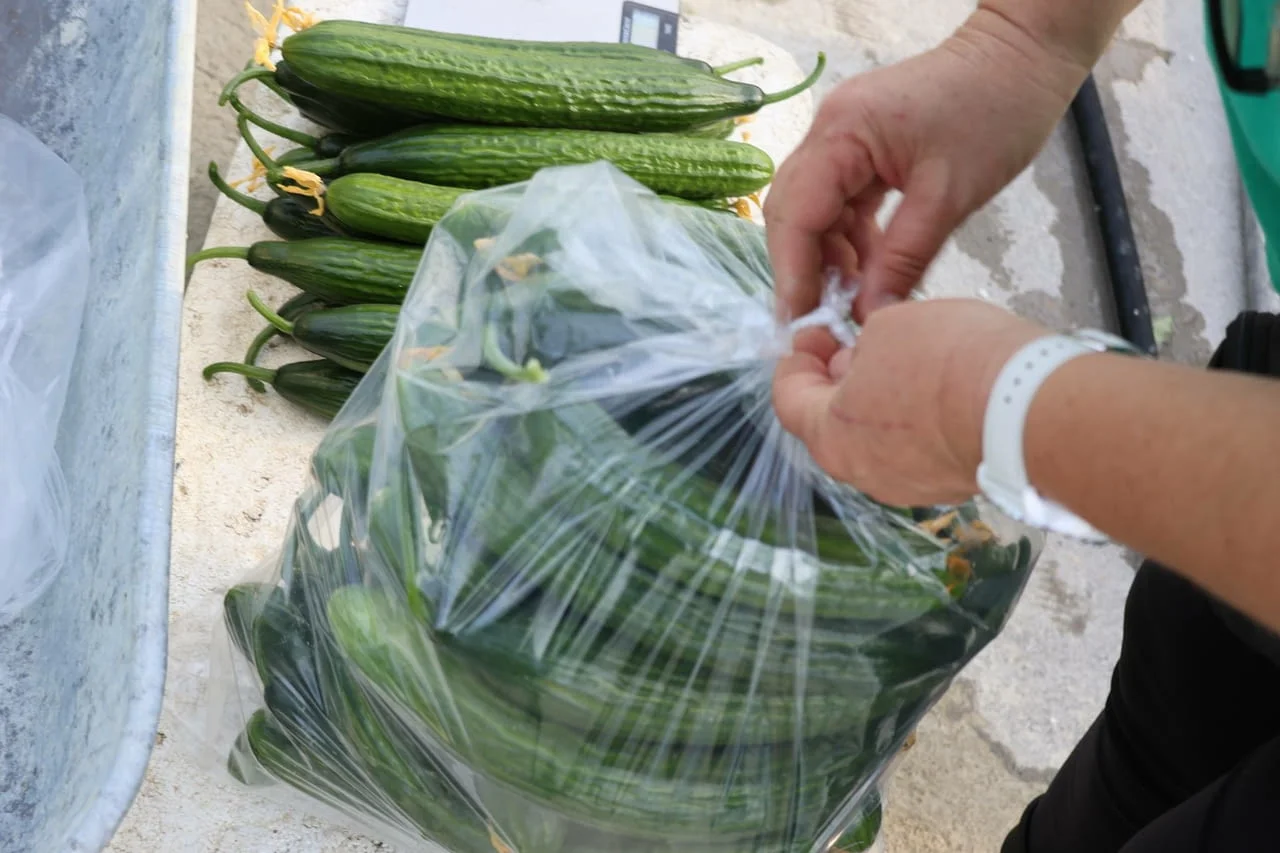 Чували за краставици