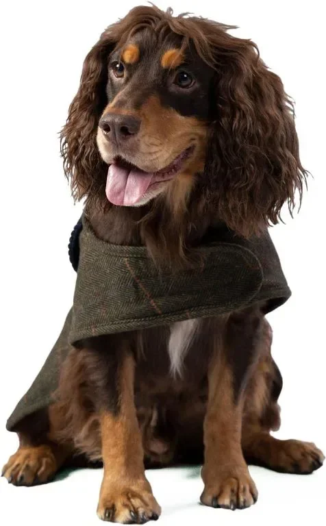 HUGO & HUDSON x HACKETT Палто за кучета, кадифена яка, тъмнозелено карирано рибена кост M45
