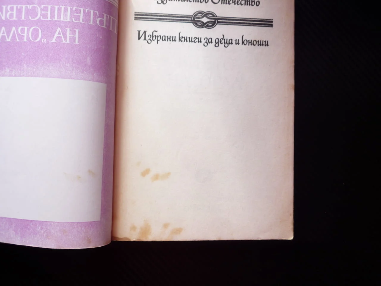 Пътешествието на "Орла" Ги дьо Мопасан полет с балон пътеписи въздушно пътешествие нощен поглед вис — снимка 2