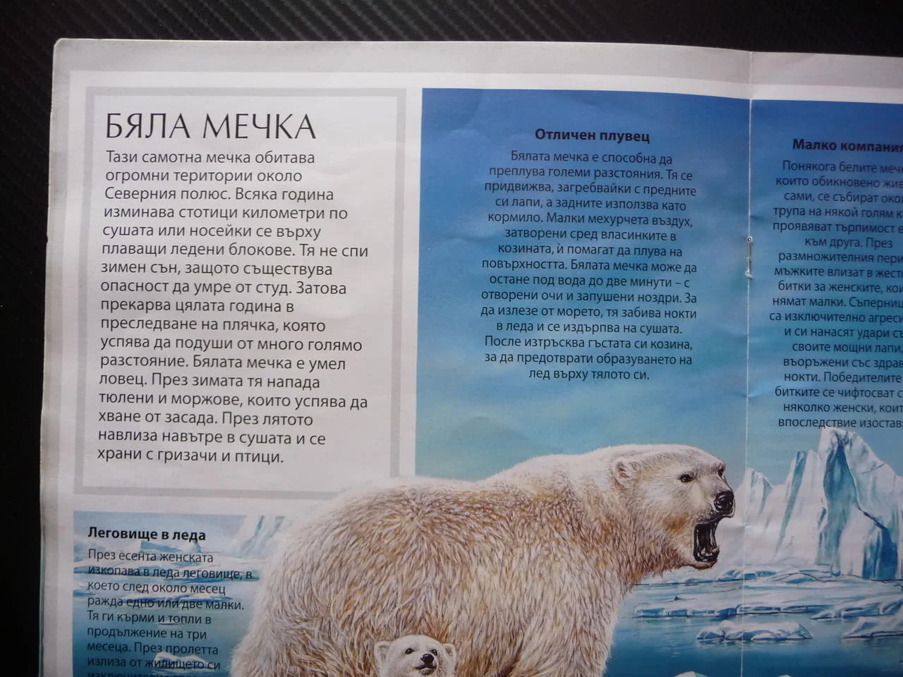 Полярните животни детска красиви рисунки бяла мечка пингвини морски лъв овцебик морж тюлени сова пан — снимка 3