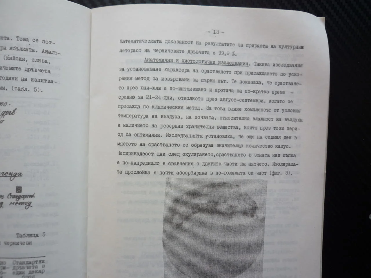 Изследвания върху някои методи за вегетативното размножаване на овощните видове присаждане растения — снимка 3