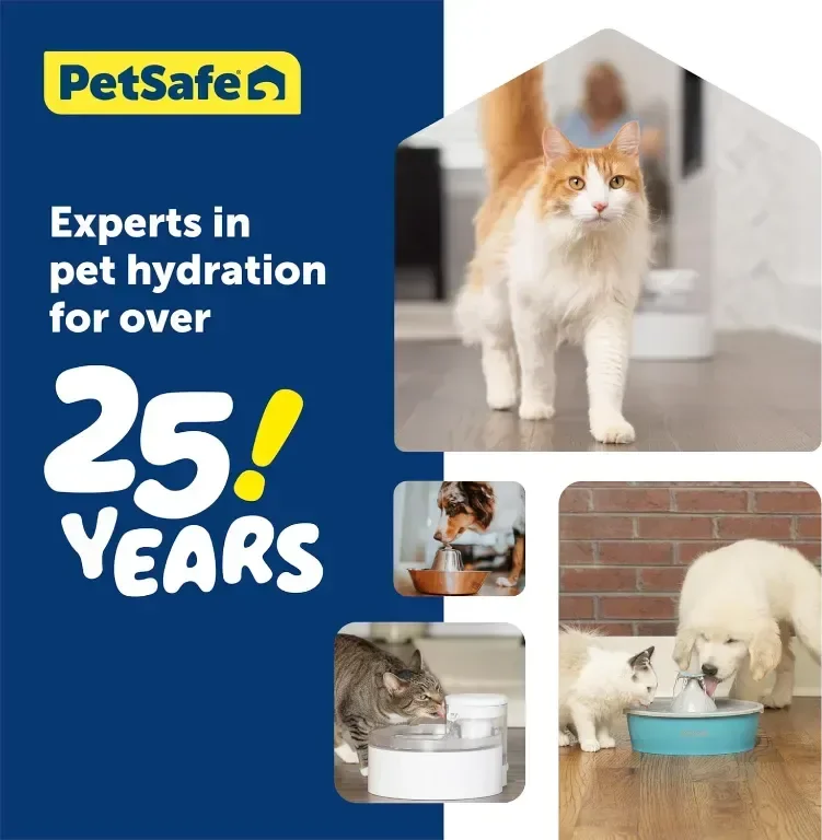 PetSafe Outlast воден фонтан за кучета и котки, 1,7 л, филтър за вода — снимка 8