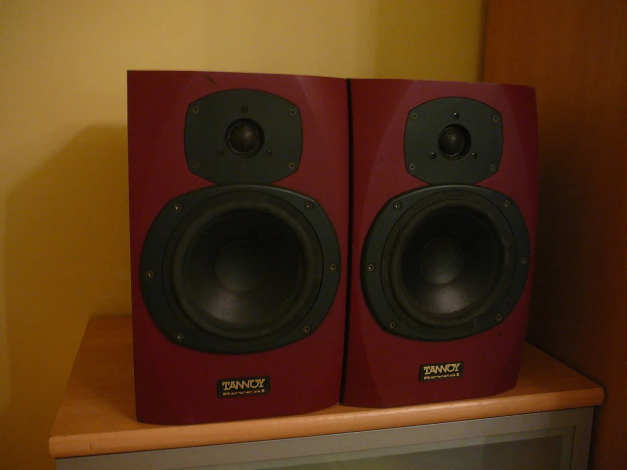 Tannoy reveal monitorni — снимка 2