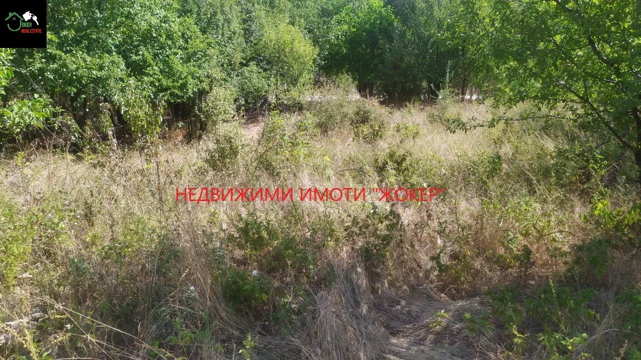 Парцел в регулация в село Родина — снимка 3