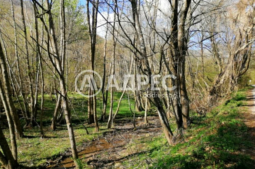 Парцел за вилно селище или комплекс от затворен тип край с. Лиляново, на 8 км от Сандански — снимка 3