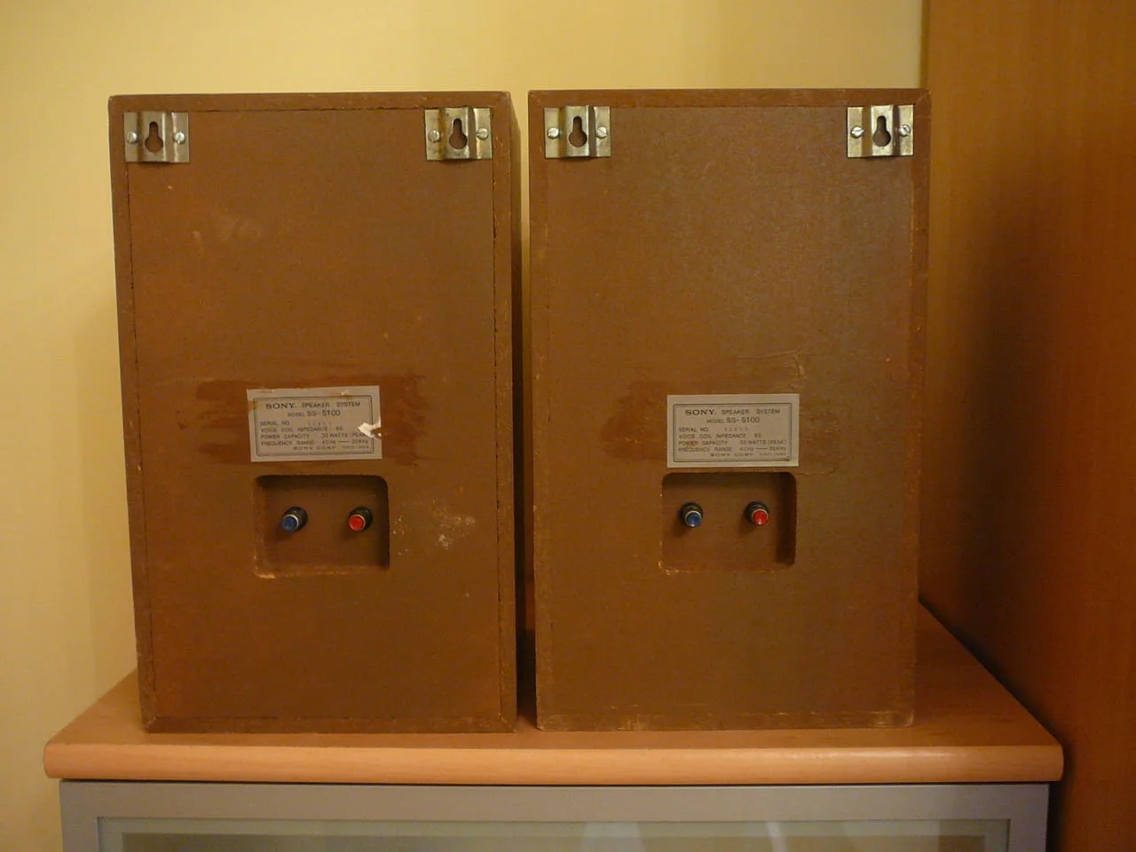 Sony ss-5100 — снимка 6