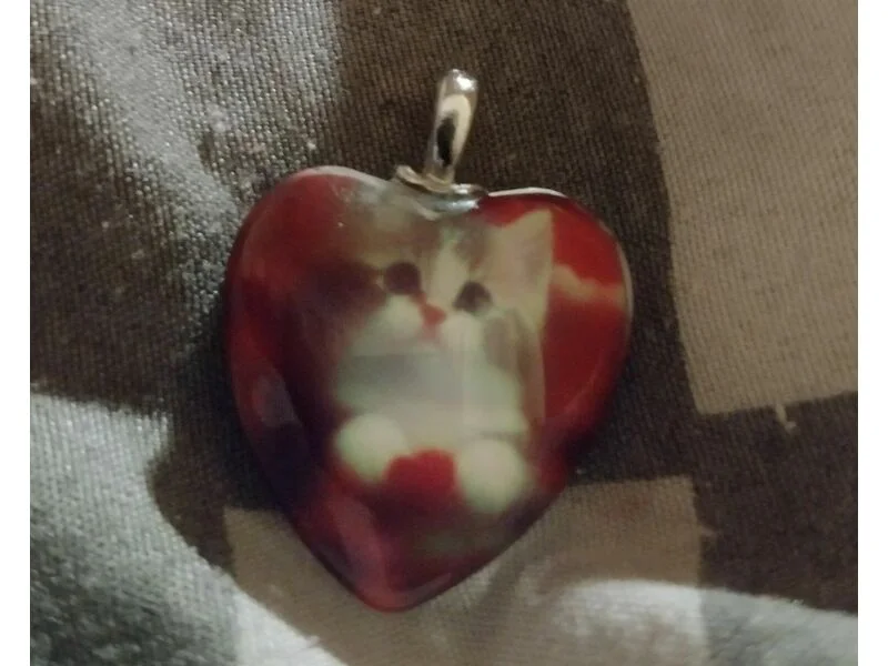 Котенце в сърца