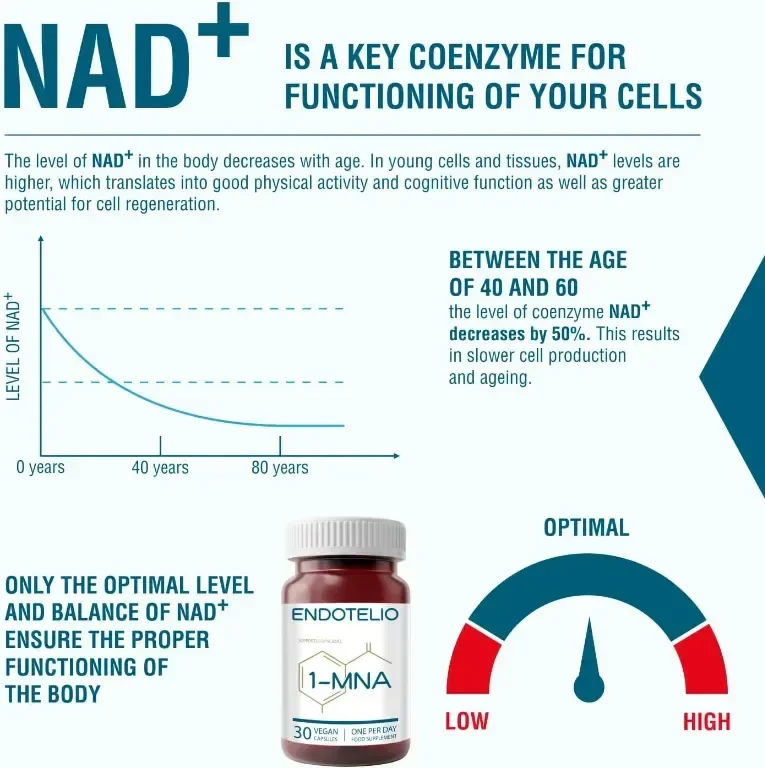 Endotelio 1-MNA, Против стареене, Оптимизираща NAD+ Biohacking добавка, 30 капсули — снимка 3