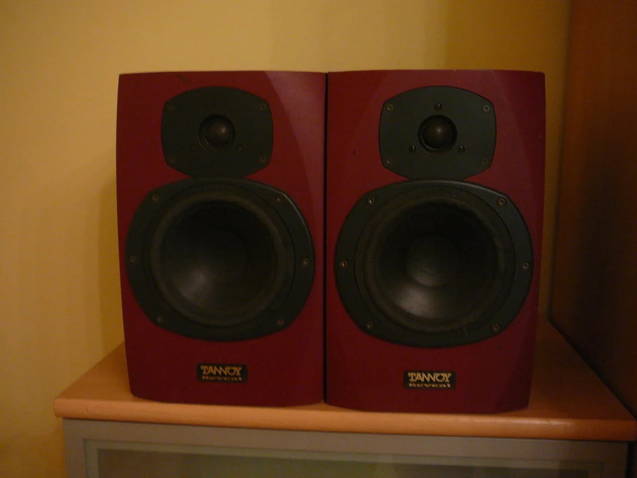 Tannoy reveal monitorni