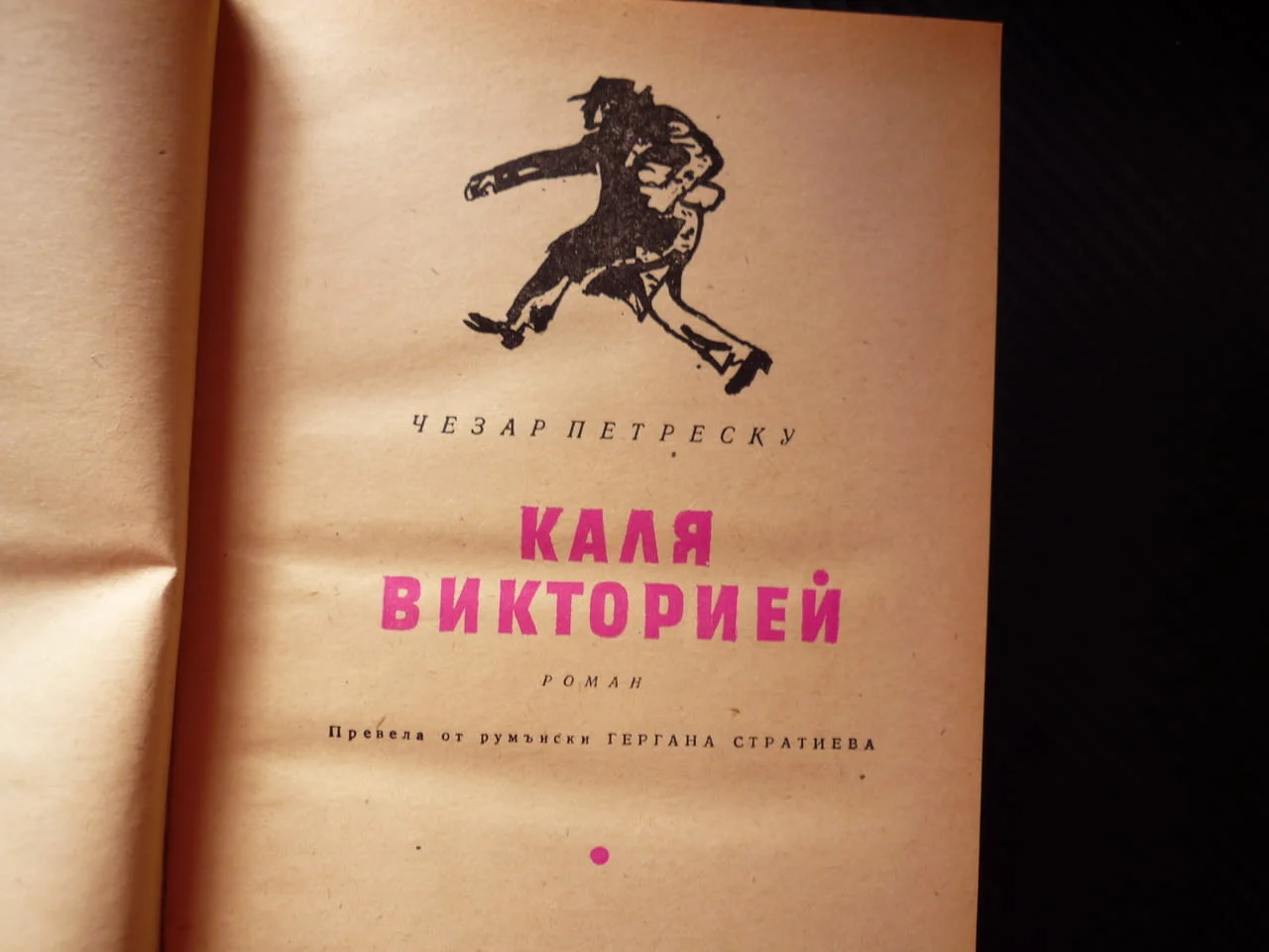 Каля Викторией Чезар Петреску румънска Избрани романи румънски пътят на победата общество булевард — снимка 2
