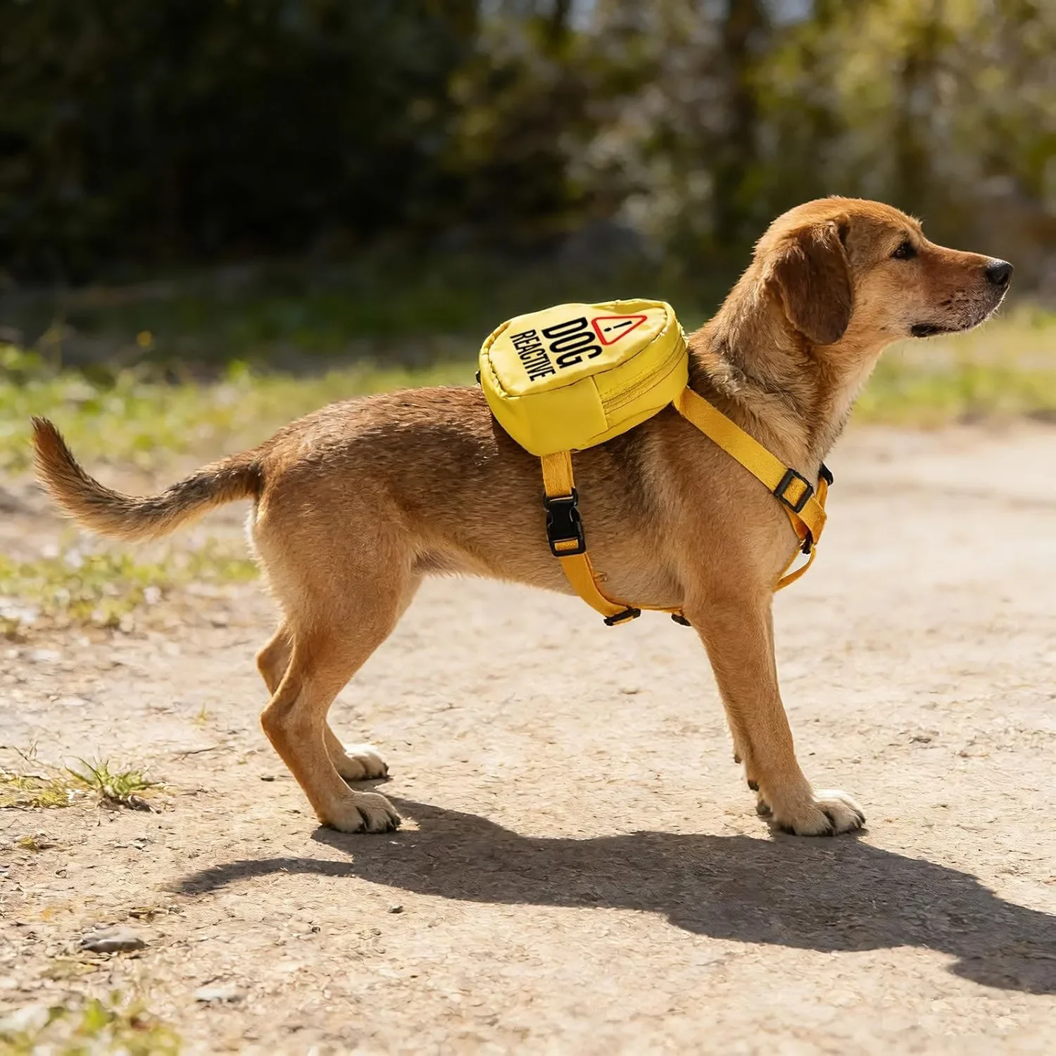 Раница за кучета Reactive „DOG REACTIVE“ – чанта за пътуване и разходка с катинар/колан — снимка 5