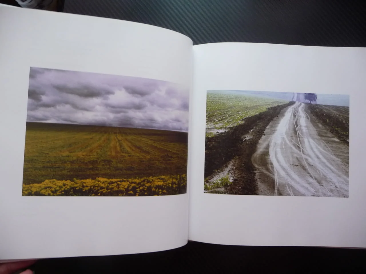Всичколюбец Николай Ненов фотограф албум снимки фотографии голо тяло портрети пейзажи актова живял р — снимка 8
