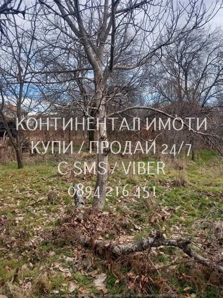 Код 70027. Двуетажна стара/гредоред къща 150м2 с голям двор 1200м2 — снимка 3