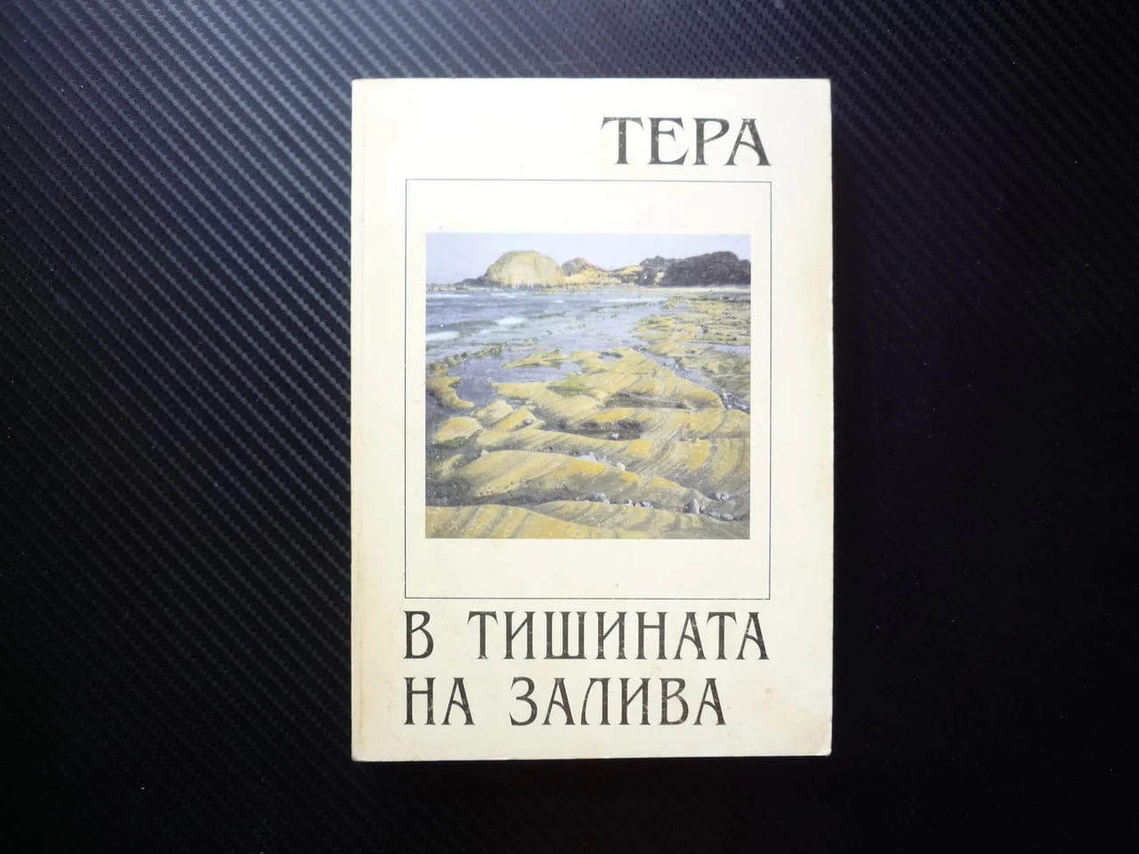 В тишината на залива Тера драматизъм чувство за хумор стил любов омраза смисъл битие насилие самота