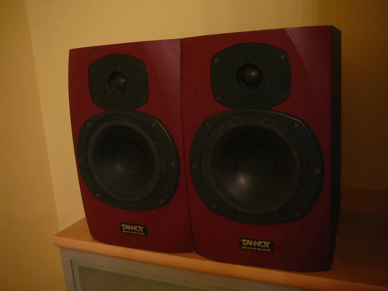 Tannoy reveal monitorni — снимка 3