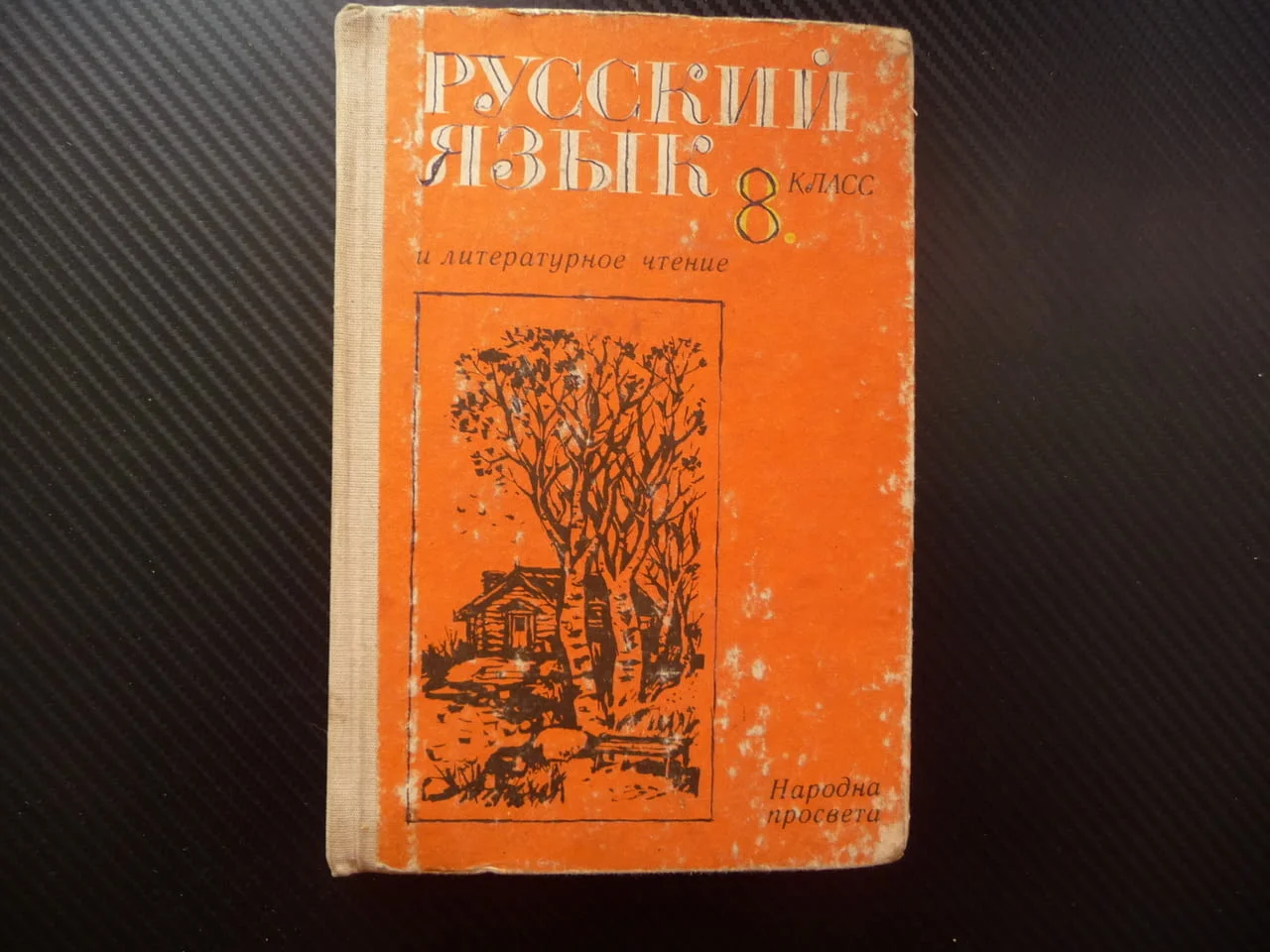 Русский язык и литературное чтение для 8. класса руски език изучаване литературно четене курс уроци