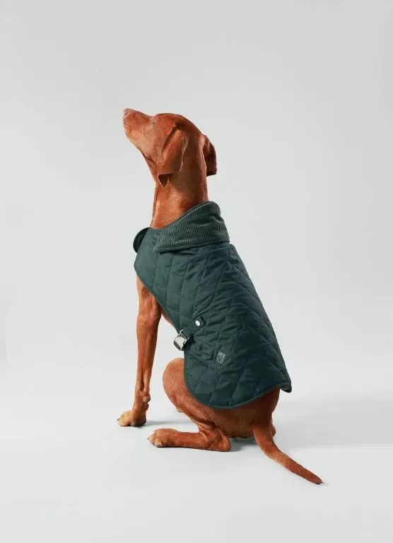 HUGO & HUDSON x HACKETT Капитонирано яке за кучета, зимно палто с кадифена яка, горско зелено M 40 — снимка 2