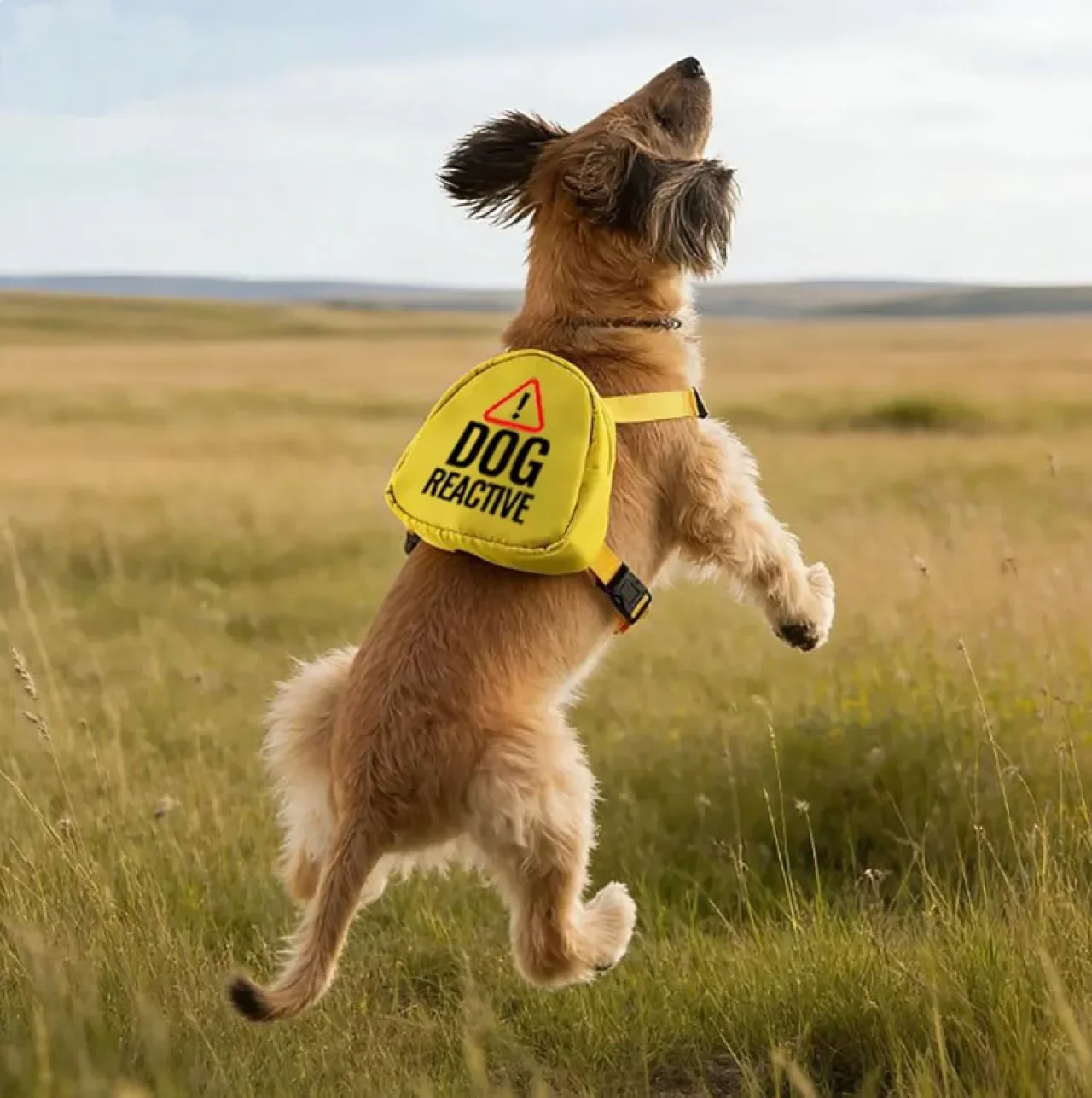 Раница за кучета Reactive, чанта за пътуване (DOG REACTIVE) — снимка 4